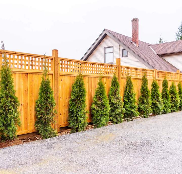 Privacy Starts With Proper Fencing